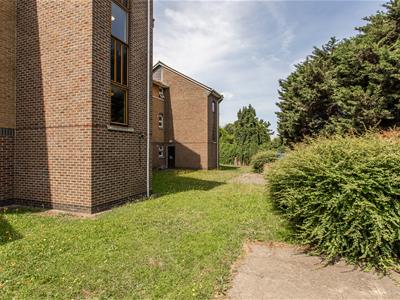 Picture 12